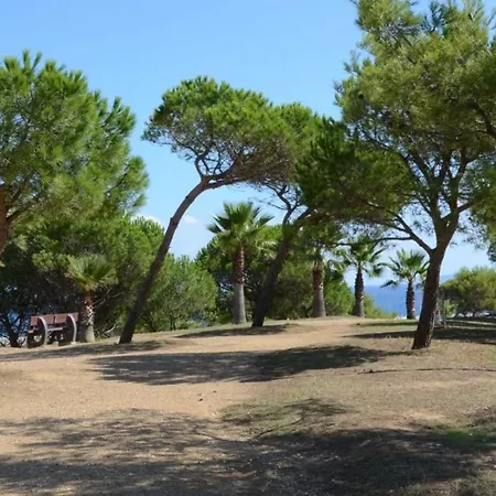 Apartment 3 Pieces 5 Couchages Avec Garage Prive A Bormes-les-mimosas - Fr-1-251-896 *