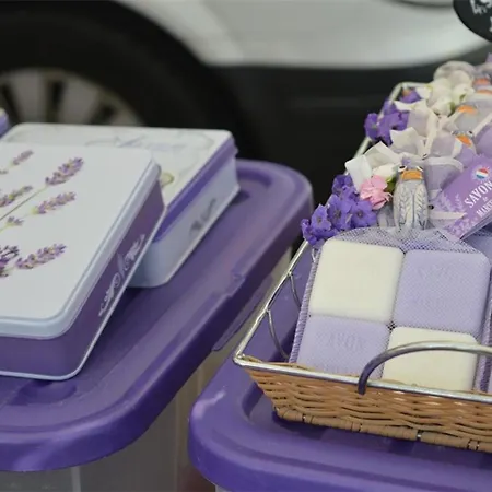 Apartment 3 Pieces 5 Couchages Avec Garage Prive A Bormes-les-mimosas - Fr-1-251-896 Bormes-les-Mimosas